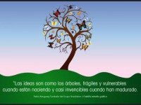 /album/fotogaleria-blog-tareas/list-640px-jpg/